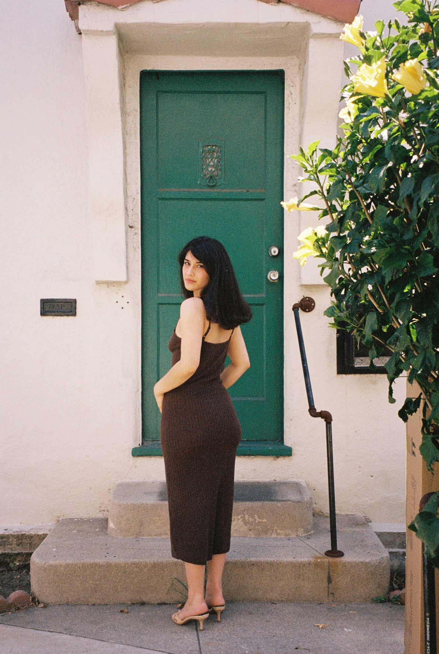 Dalia Midi Dress - Brown